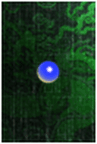 Picture51.png